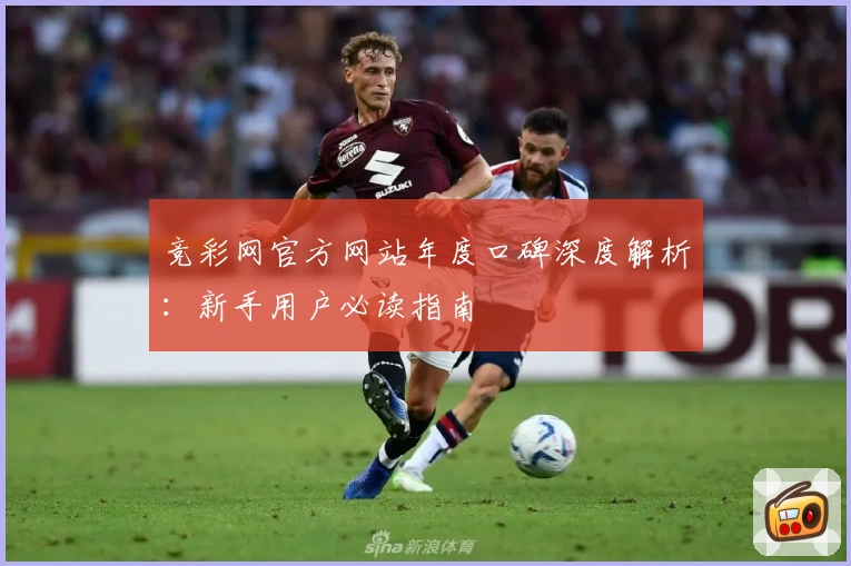 竞彩网官方网站年度口碑深度解析：新手用户必读指南