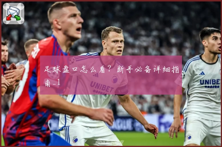 足球盘口怎么看?新手必备详细指南_1